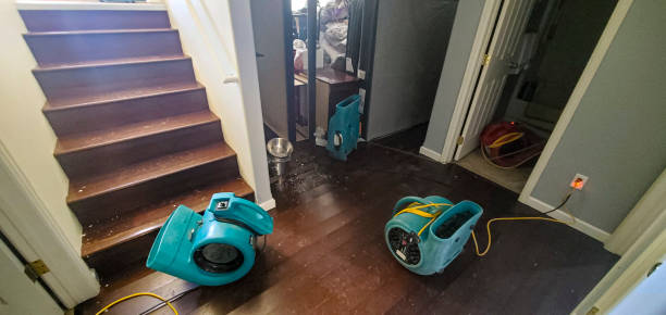 Best Local water damage restoration  in Oak Grove, LA