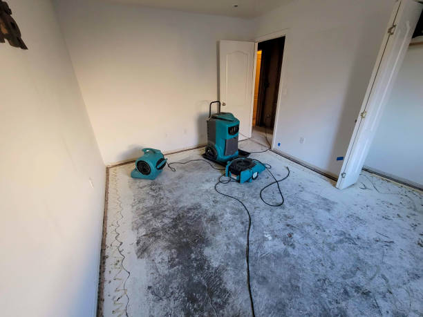 Best Mold removal after water damage  in Oak Grove, LA