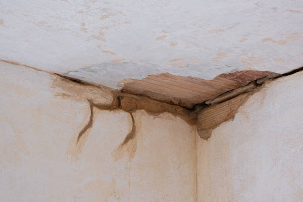 Best Water damage restoration services  in Oak Grove, LA