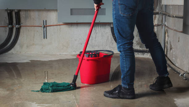 Best Carpet water damage restoration  in Oak Grove, LA