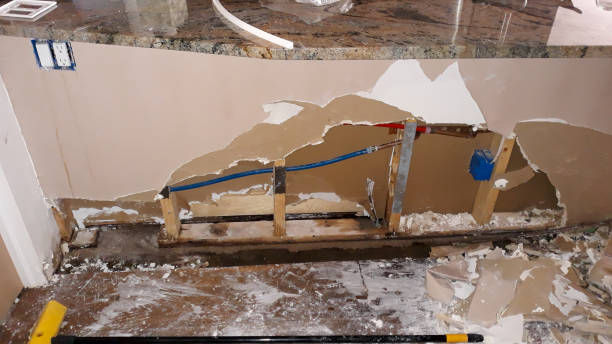 Best Basement water damage restoration  in Oak Grove, LA