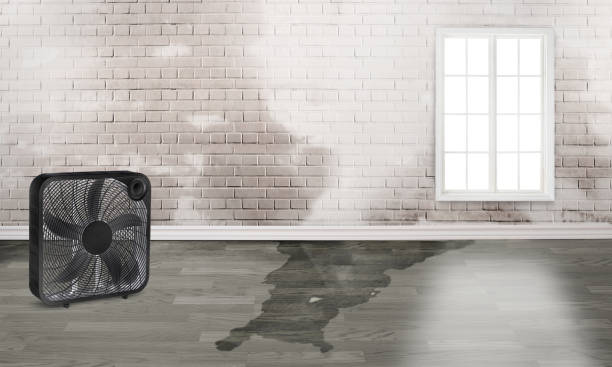 Fire Damage Restoration in Oak Grove, LA