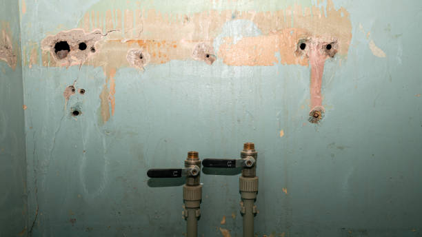 Best Water damage restoration near me  in Oak Grove, LA