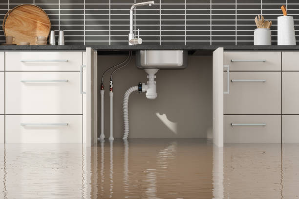 Best Flood damage cleanup  in Oak Grove, LA
