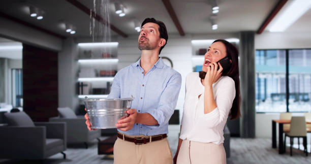 Best Professional water damage repair  in Oak Grove, LA