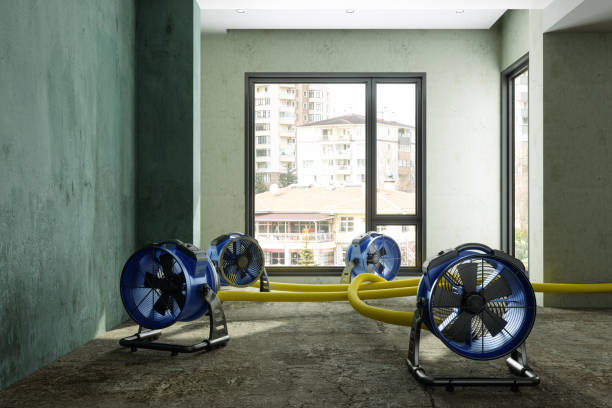Best Local water damage restoration  in Oak Grove, LA